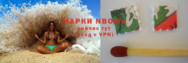 хмурый Алексин