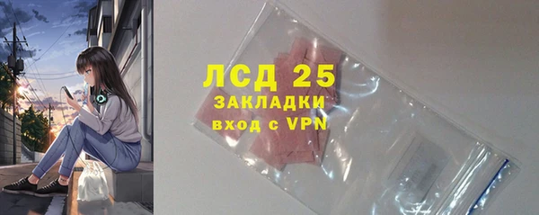 хмурый Алексин