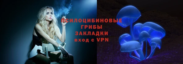 хмурый Алексин