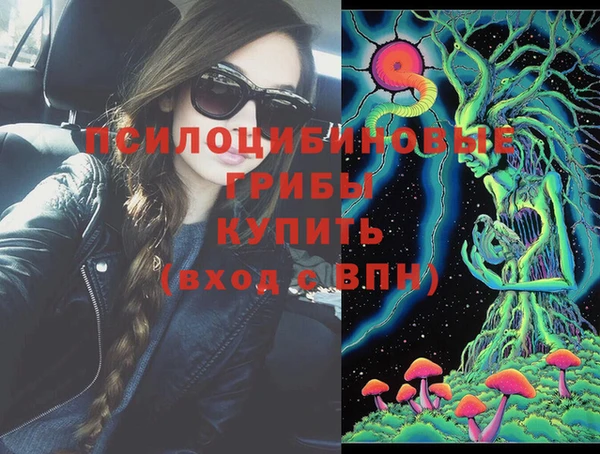 хмурый Алексин