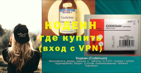 хмурый Алексин