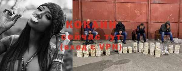 хмурый Алексин